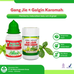 Paket Obat Batu Ginjal De Nature