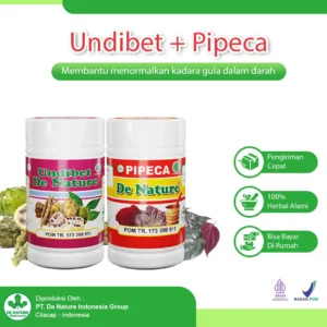 Paket Obat Diabetes De Nature