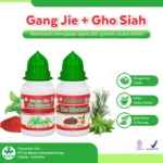 Paket Obat Kencing Nanah De Nature