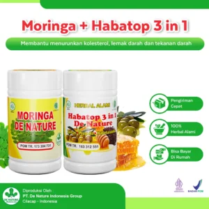 Paket Obat Kolesterol De Nature