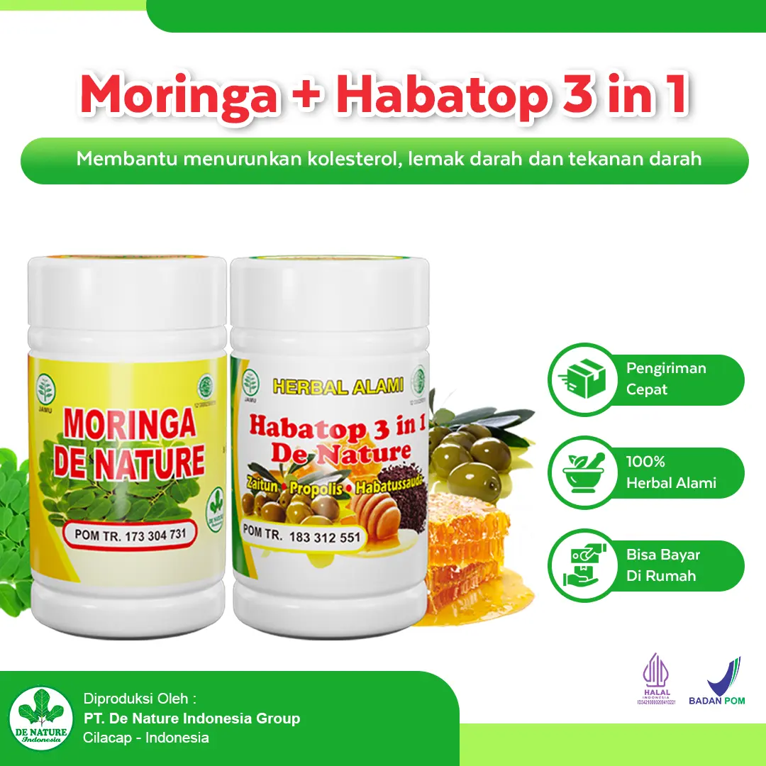 Paket Obat Kolesterol De Nature