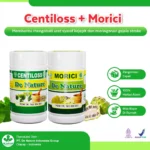 Paket Obat Stroke De Nature