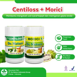 Paket Obat Stroke De Nature