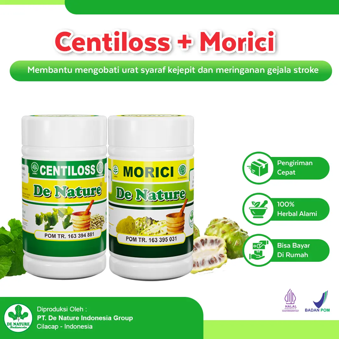 Paket Obat Stroke De Nature