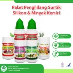 Obat Penghilang Suntik Silikon Minyak Kemiri De Nature