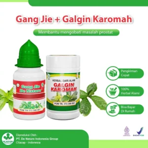 Paket Obat Prostat De Nature